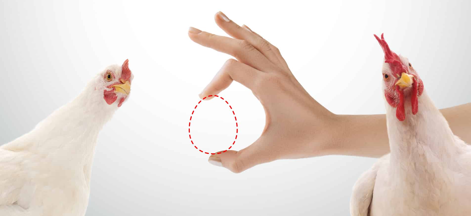 Smart Substitutes: Making Your Easter Eggs Flavorful & Sugar-Free